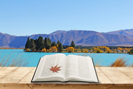 臨床醫(yī)學(xué)非全日制研究生招生簡章2025